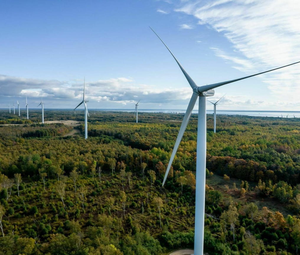 Vėjo jėgainių parkus planuojame itin rūpestingai